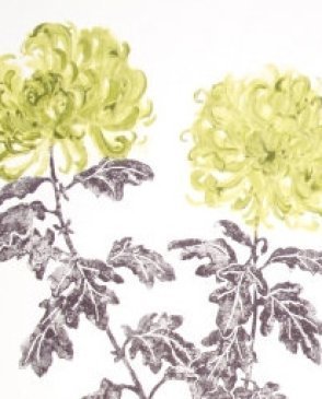 Обои Designers Guild Marienlyst p457-02