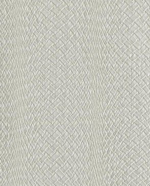 Обои Ronald Redding Atelier RRD7265N