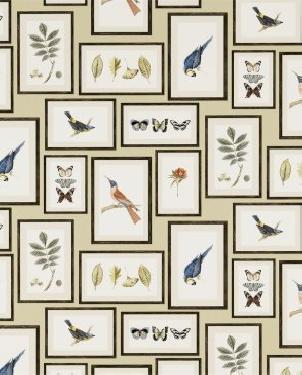 Обои Sanderson Voyage of Discovery Wallpapers Voyage of Discovery Wallpapers DVOY213399 изображение 0