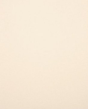 Обои Clarke & Clarke Showstoppers W0006-09