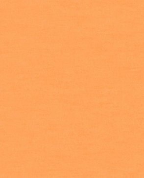 Обои однотонные оранжевые Aristide 228365 изображение 0