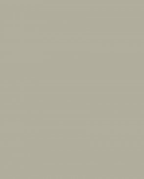 Обои Made in Russia C7-02 изображение 0