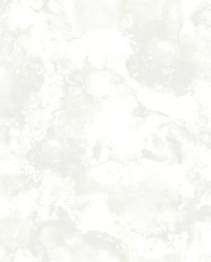 Обои Decoprint NV Yala YA19580