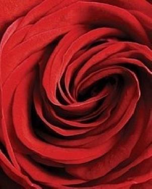 Обои Atlas Wallcoverings Raphael 4 1382