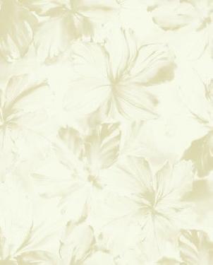 Обои Carl Robinson Edition 2 cb22706