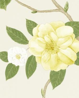 Обои Sanderson Voyage of Discovery Wallpapers Voyage of Discovery Wallpapers DVOY213377 изображение 0