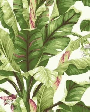 Обои Ashford House Ashford Tropics AT7067