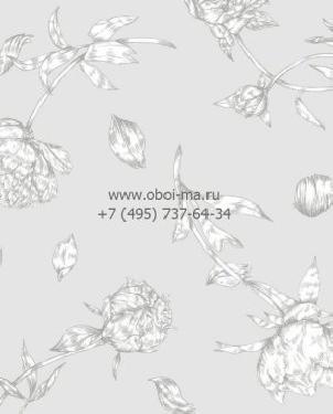 Обои Sandberg Flora Sandbergica 586-21