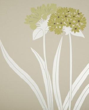 Обои Sanderson Pom Pom Papers Pom Pom Papers DPOMLI106 изображение 0