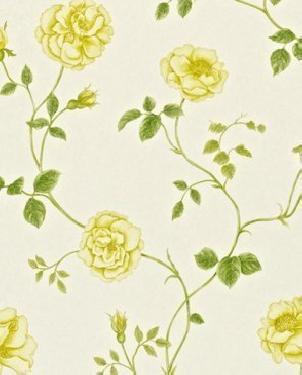 Обои Sanderson Painter's Garden Painter's Garden DAPGRO102 изображение 0