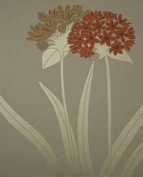 Обои Sanderson Pom Pom Papers Pom Pom Papers DPOMLI105 изображение 0