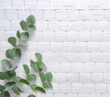 Обои Carl Robinson Edition 20 CL50001 изображение 2