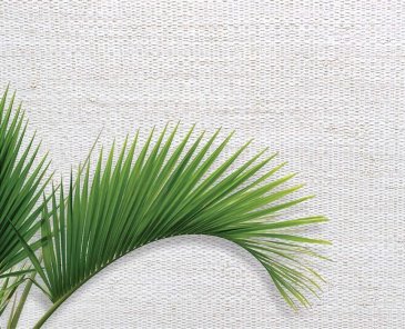 Обои Carl Robinson Edition 20 CL50003 изображение 2