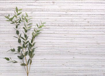 Обои Carl Robinson Edition 20 CL50005 изображение 2