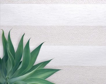 Обои Carl Robinson Edition 20 CL50007 изображение 2