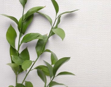 Обои Carl Robinson Edition 20 CL50009 изображение 2