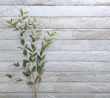 Обои Carl Robinson Edition 20 CL50012 изображение 2