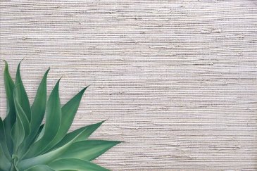 Обои Carl Robinson Edition 20 CL50013 изображение 2