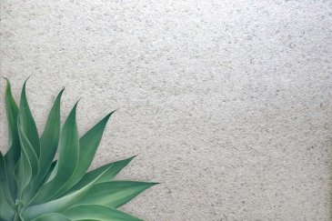 Обои Carl Robinson Edition 20 CL50019 изображение 2