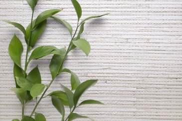 Обои Carl Robinson Edition 20 CL50021 изображение 2