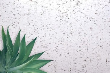 Обои Carl Robinson Edition 20 CL50026 изображение 2