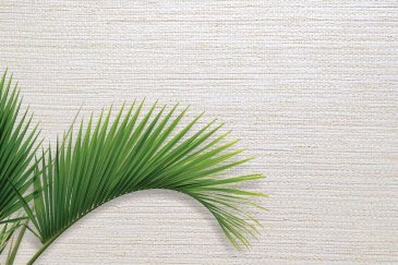 Обои Carl Robinson Edition 20 CL50030 изображение 2