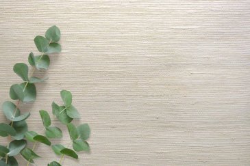 Обои Carl Robinson Edition 20 CL50034 изображение 2