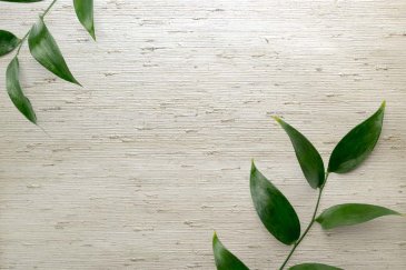 Обои Carl Robinson Edition 20 CL50037 изображение 2