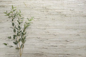 Обои Carl Robinson Edition 20 CL50039 изображение 2