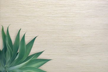 Обои Carl Robinson Edition 20 CL50040 изображение 2