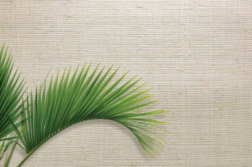 Обои Carl Robinson Edition 20 CL50043 изображение 2