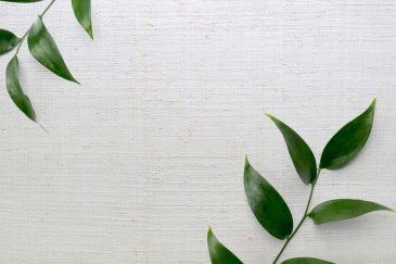 Обои Carl Robinson Edition 20 CL50044 изображение 2