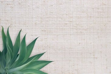 Обои Carl Robinson Edition 20 CL50046 изображение 2