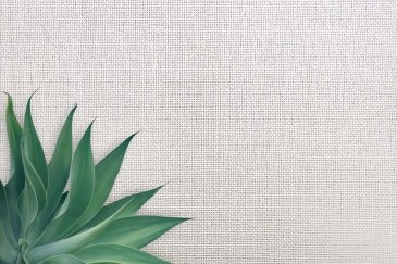 Обои Carl Robinson Edition 20 CL50052 изображение 2