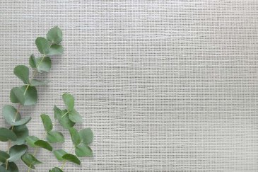 Обои Carl Robinson Edition 20 CL50053 изображение 2