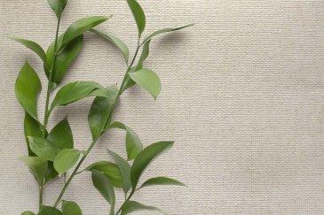 Обои Carl Robinson Edition 20 CL50054 изображение 2