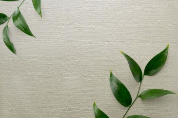 Обои Carl Robinson Edition 20 CL50056 изображение 2