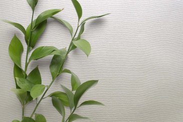 Обои Carl Robinson Edition 20 CL50060 изображение 2