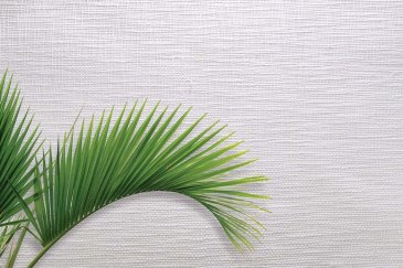 Обои Carl Robinson Edition 20 CL50061 изображение 2