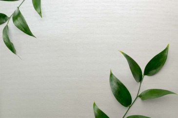 Обои Carl Robinson Edition 20 CL50062 изображение 2