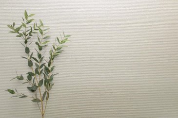 Обои Carl Robinson Edition 20 CL50063 изображение 2