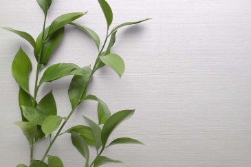 Обои Carl Robinson Edition 20 CL50066 изображение 2