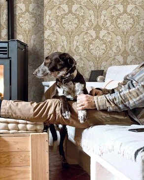 Обои Carl Robinson Edition 21 The Gentleman CL70005 изображение 2