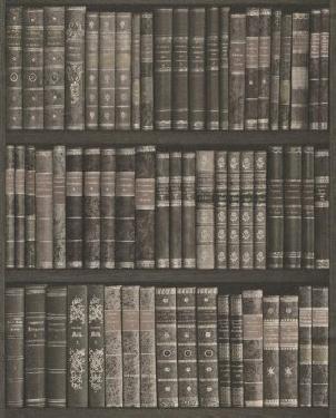 Обои Rasch Crispy Paper 525823