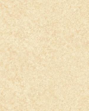 Обои Chesapeake Patina II PT71246