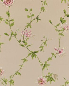 Обои Sanderson Classic Collection 2 Classic Collection 2 DCLAPF-103 изображение 0