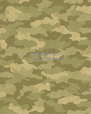 Обои Chesapeake Boys Rock BYR95551