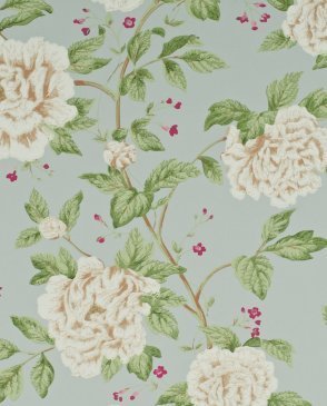 Обои Sanderson Classic Collection 2 Classic Collection 2 DCLAPT-102 изображение 0