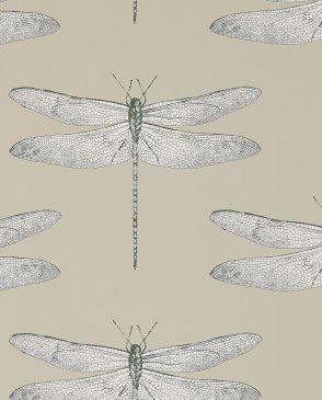 Обои с бабочками, насекомыми Palmetto 111241 изображение 0