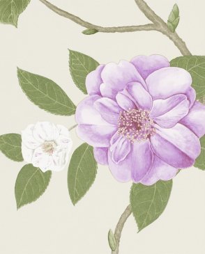 Обои Sanderson Voyage of Discovery Wallpapers Voyage of Discovery Wallpapers DVOY213375 изображение 0